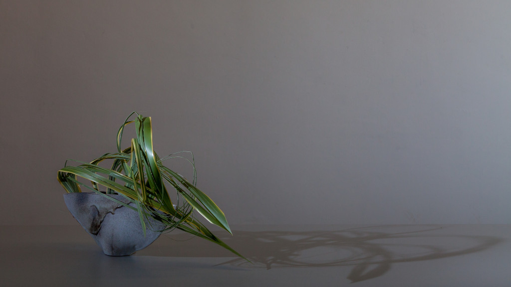 Material: Phormium Tenax - Photography: Ben Huybrechts